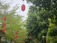 -揭东万竹园旅游景区