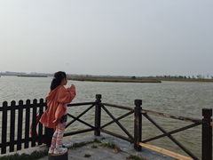 -盐城丹顶鹤湿地生态旅游区