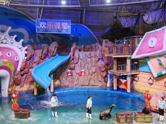 -烟台海昌鲸鲨海洋公园