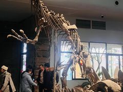 -自贡恐龙博物馆