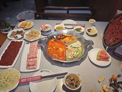 -渝大龙重庆火锅(温泉月亮湾店)