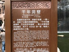 -蛇蟠岛