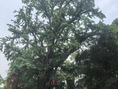 -三国赤壁古战场