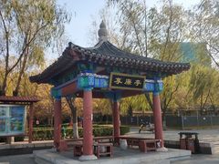 -莲花池公园