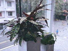 -ARKET CAFÉ(三里屯太古里店)