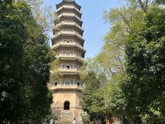 -灵谷景区