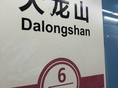 -大龙山(地铁站)