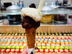 -米兰马尔彭萨国际机场