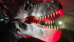 -恐龙探索乐园(磁器口店)