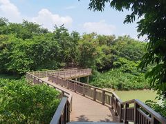 -广东花都湖国家湿地公园