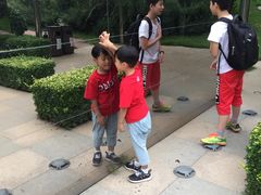 -武清南湖绿博园