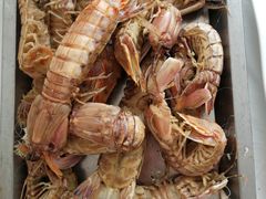 皮皮虾-渔民船说·北塘海鲜·天津菜·海肠捞饭(北塘古镇店)