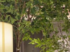 -狮王府淮扬菜(夫子庙老门东店)