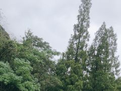-天明山温泉大酒店
