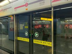 -大龙山(地铁站)