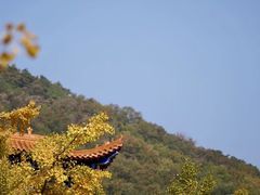 -遵化市禅林寺古银杏风景园