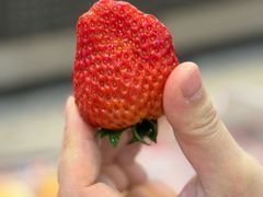 -江二娃串串香(科园四路总店)