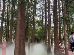 -东湖落雁景区
