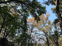 -WeLope紫金山探险公园