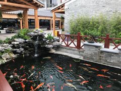 -顺德了能馆(虎门店)