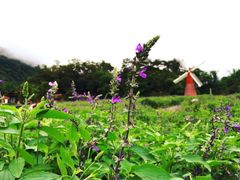 盘龙峡生态旅游区-德庆盘龙峡生态旅游区