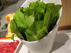 油麦菜-犇鼎牛潮汕牛肉火锅(新辰里学清路店)