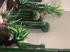 -虾佬圣汤·海鲜姿造(乐堤港店)