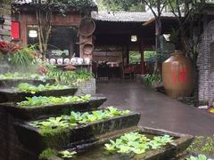 -青城甲(青城山店)