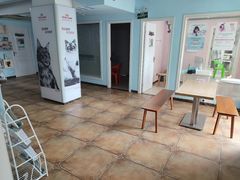 -瑞派蒂凯宠物医院·免疫点·宠保定点