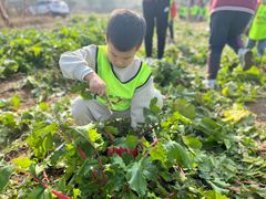 -京师双语幼儿园