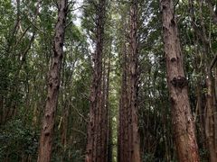 -同里国家湿地公园
