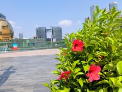 -钱江新城