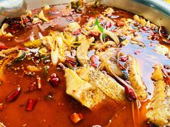 花鲢冷锅鱼-重庆鱼美佳火锅(四川师大店)