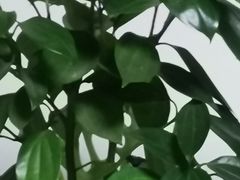 -德克士(东大直街店)