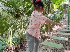 -铁山坪森林公园