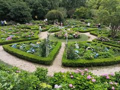 -上海共青森林公园