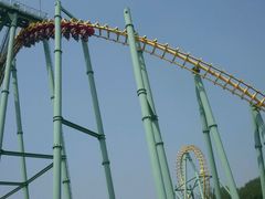 android_upload_pic-沈阳植物园