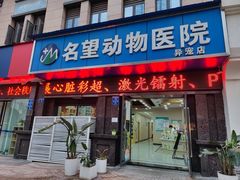 -瑞派名望24h动物医院异宠专科·猫专科·骨科·重症监护分院