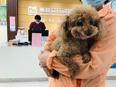 -美联众合动物医院·24h京西诊疗中心