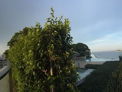-瑰丽酒店·海吧·天际下午茶·现场DJ·天台酒吧