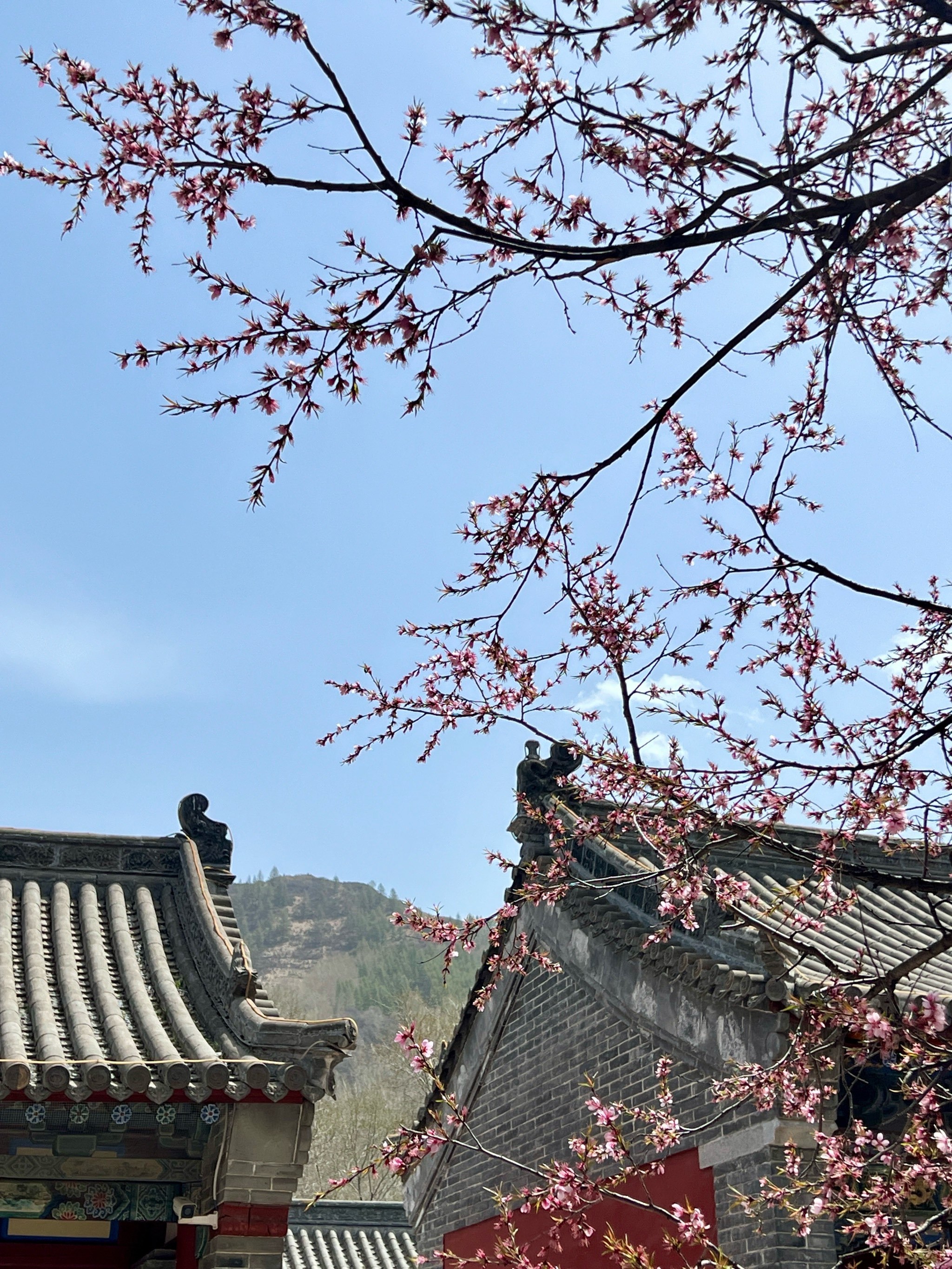 https://qcloud.dpfile.com/pc/II-Qq_aShdTpwK9gLSMg5PpP1yw_k9Vb6IJf-pIxCLCFbr1be5P3WdtSFElKYPT4Y0q73sB2DyQcgmKUxZFQtw.jpg