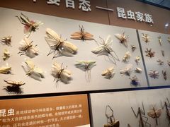 -天津自然博物馆