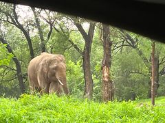 -北京野生动物园
