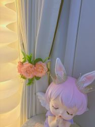 -哈颜科技轻美·