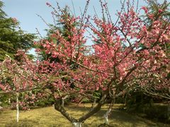 -白塘生态植物园