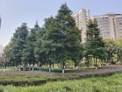 -重庆彩云湖湿地公园