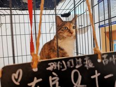 -东土食研所(渔港路店)