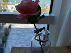 -漾花汐·西餐·下午茶(苏州湾歌林公园店)