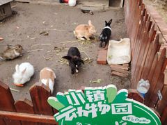 -枫叶小镇奥特莱斯