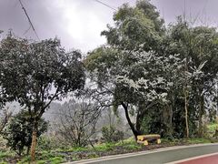 -樱桃山旅游景区
